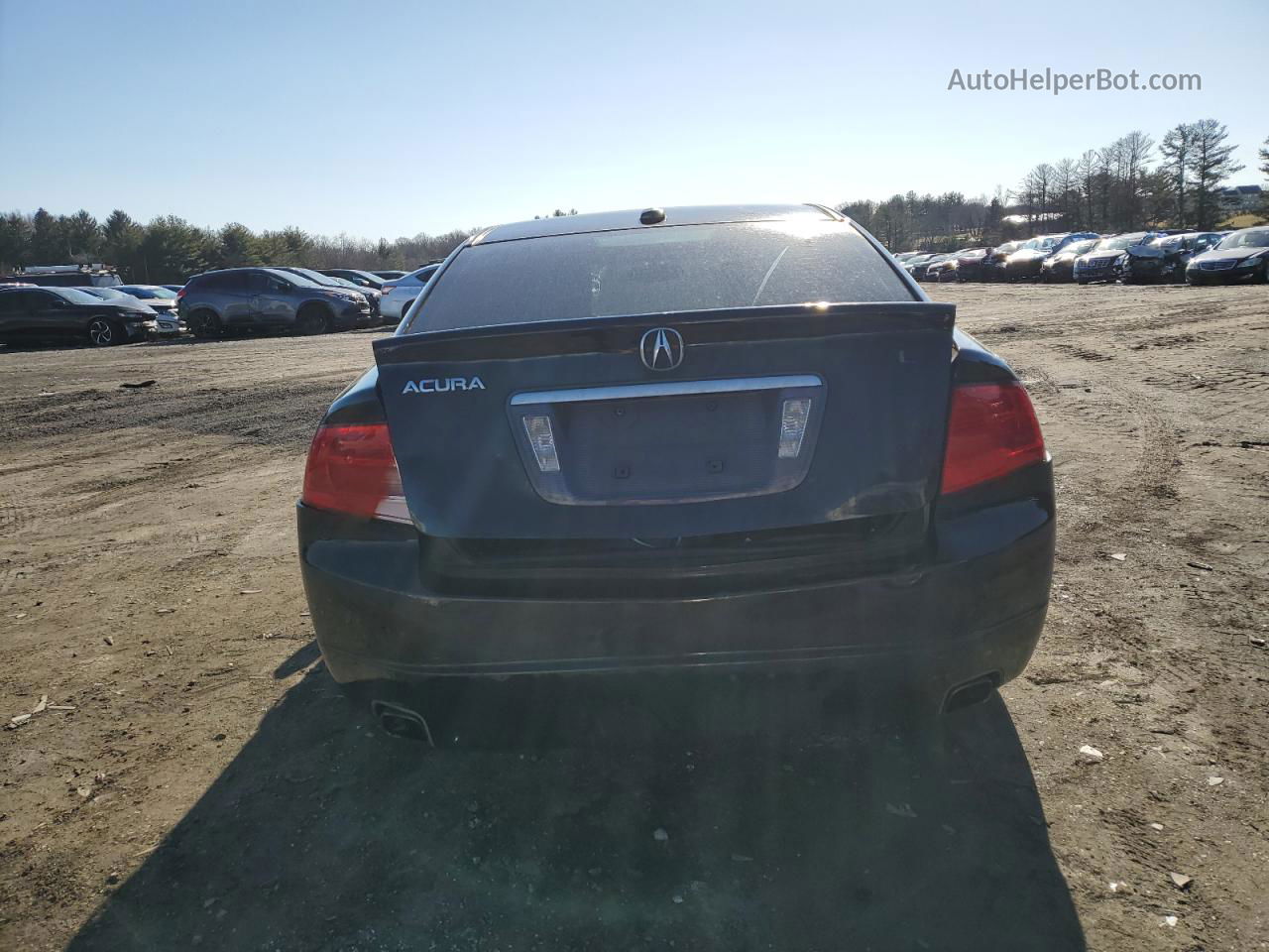 2005 Acura Tl  Black vin: 19UUA66235A066068