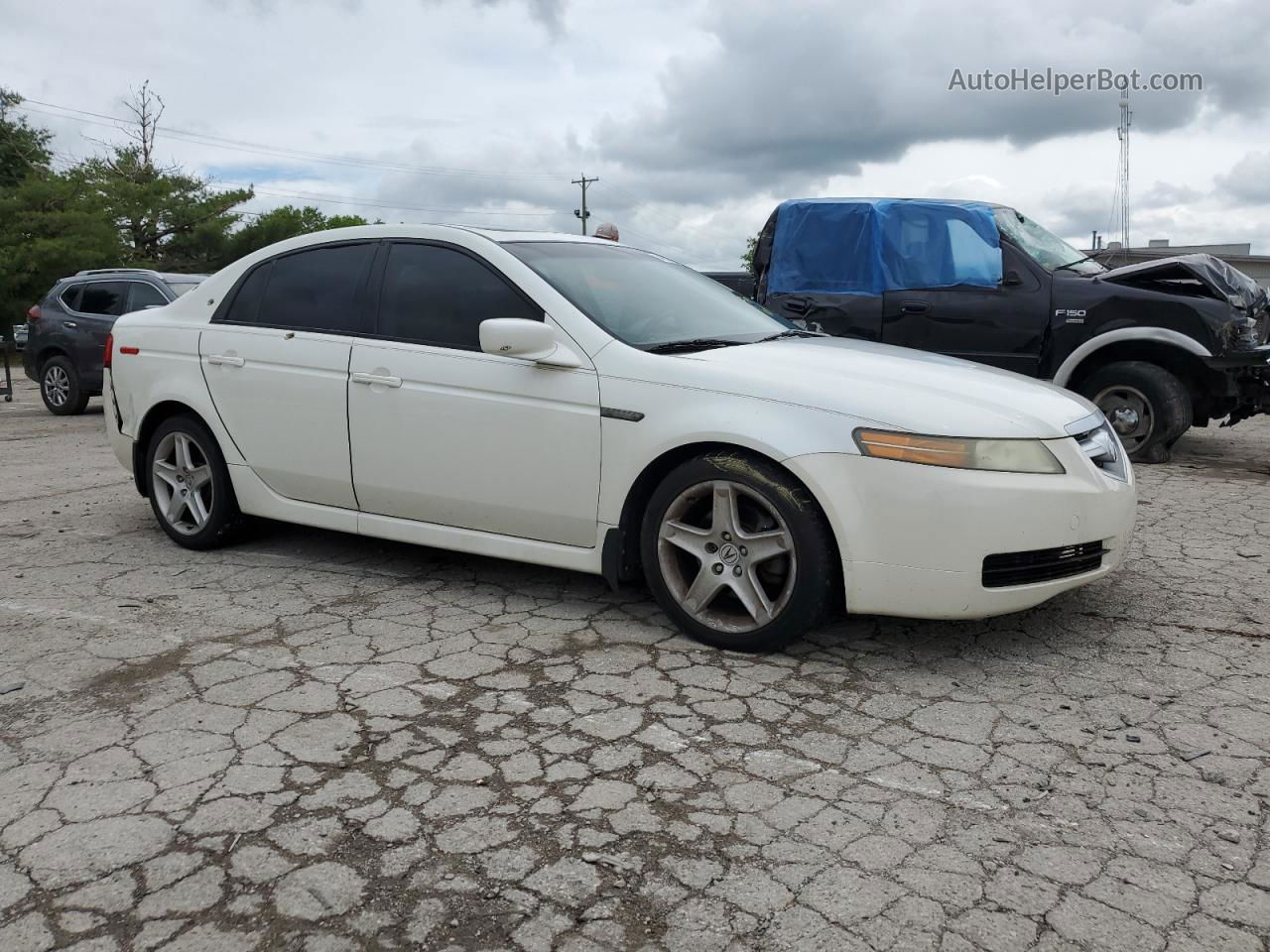 2005 Acura Tl  Белый vin: 19UUA66235A072677