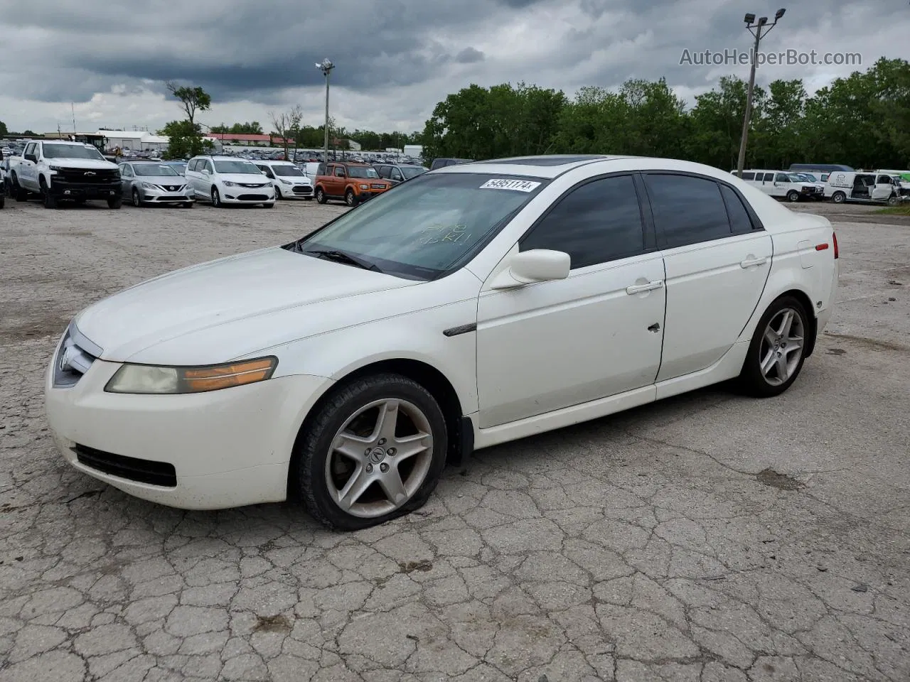 2005 Acura Tl  Белый vin: 19UUA66235A072677