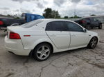 2005 Acura Tl  Белый vin: 19UUA66235A072677