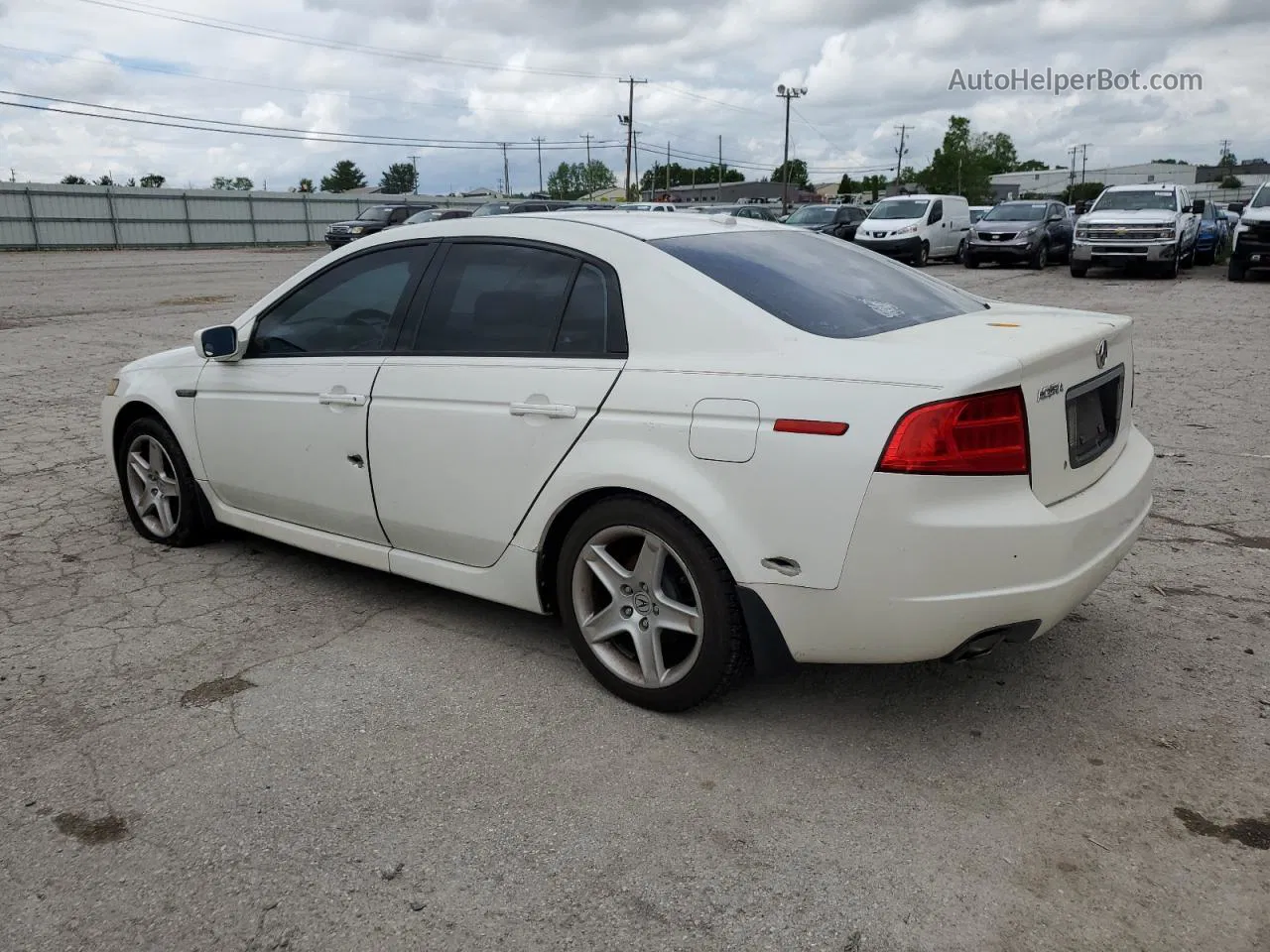 2005 Acura Tl  Белый vin: 19UUA66235A072677