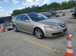 2005 Acura Tl  Tan vin: 19UUA66235A072761