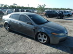 2005 Acura Tl   Gray vin: 19UUA66235A077751