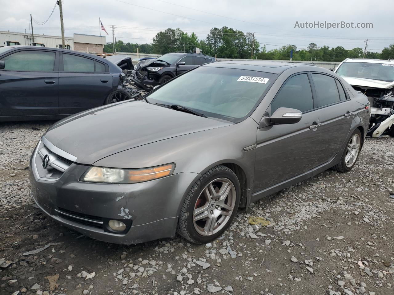 2008 Acura Tl  Gray vin: 19UUA66238A012614