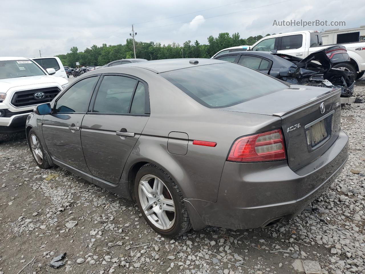 2008 Acura Tl  Gray vin: 19UUA66238A012614