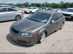 2008 Acura Tl 3.2 Gray vin: 19UUA66238A013696