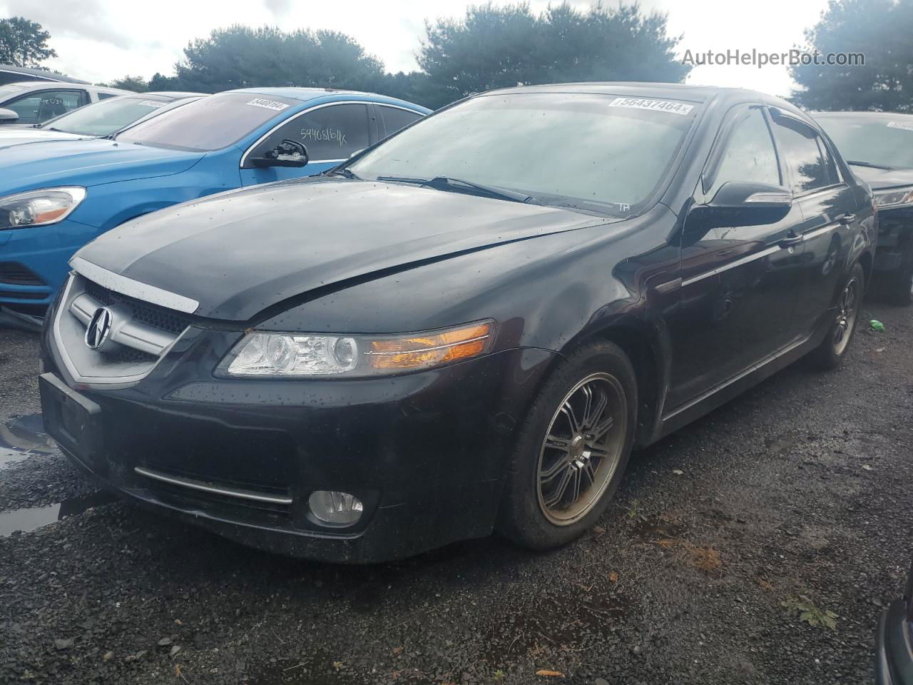 2008 Acura Tl  Black vin: 19UUA66238A017036