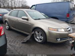 2008 Acura Tl 3.2 Желто-коричневый vin: 19UUA66238A021832