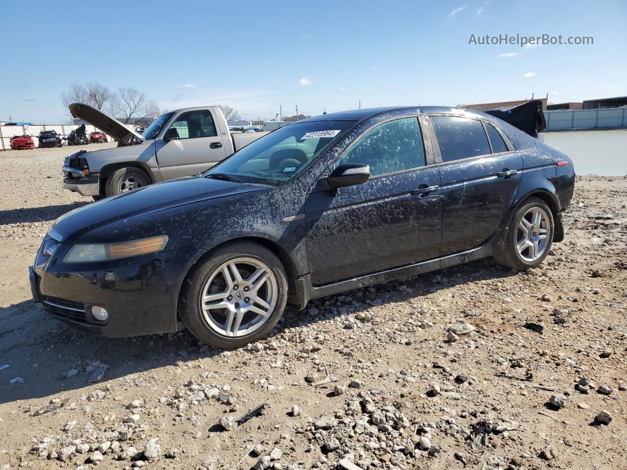 2008 Acura Tl  Black vin: 19UUA66238A041109