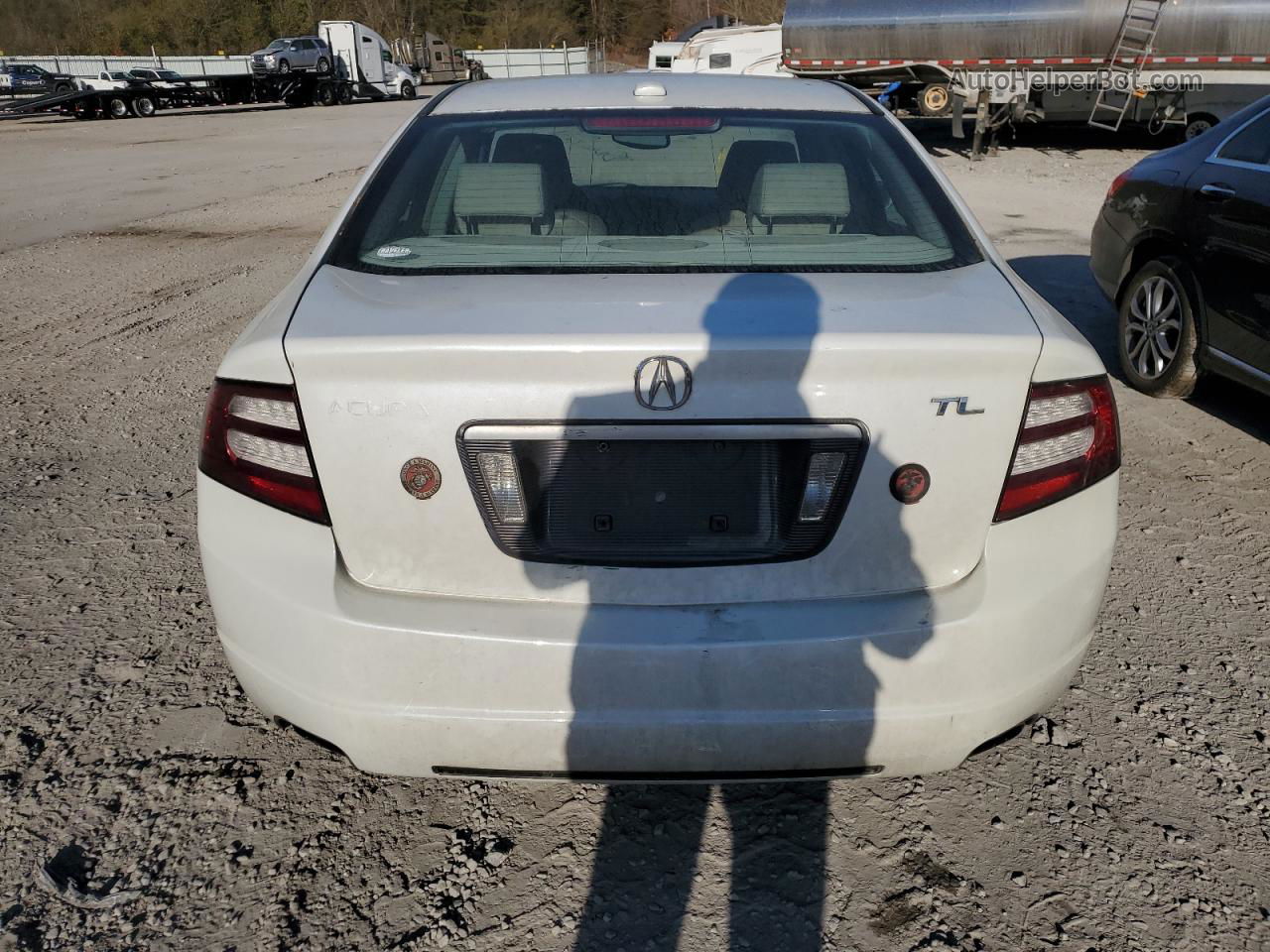 2008 Acura Tl  White vin: 19UUA66238A050229