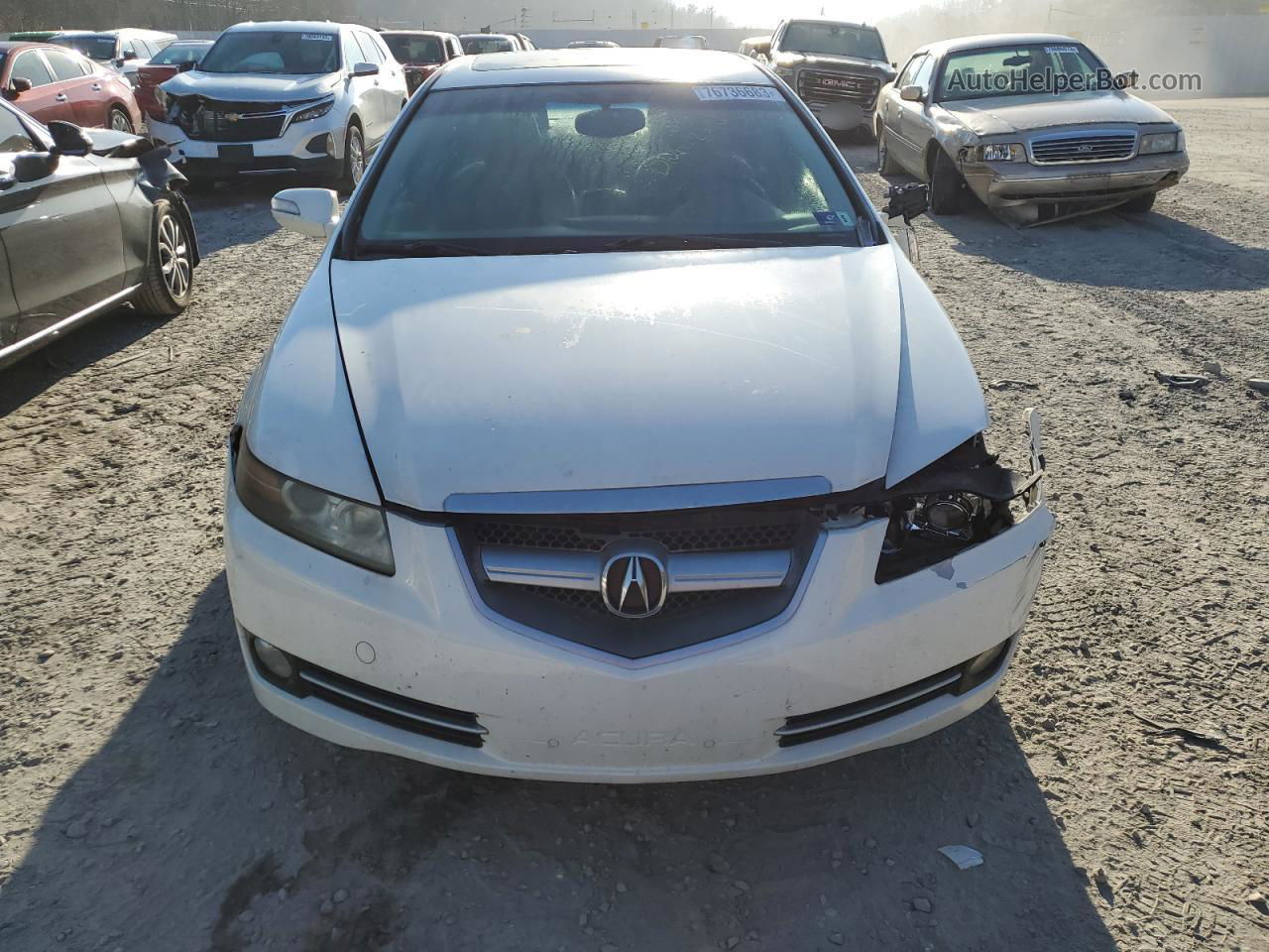 2008 Acura Tl  White vin: 19UUA66238A050229