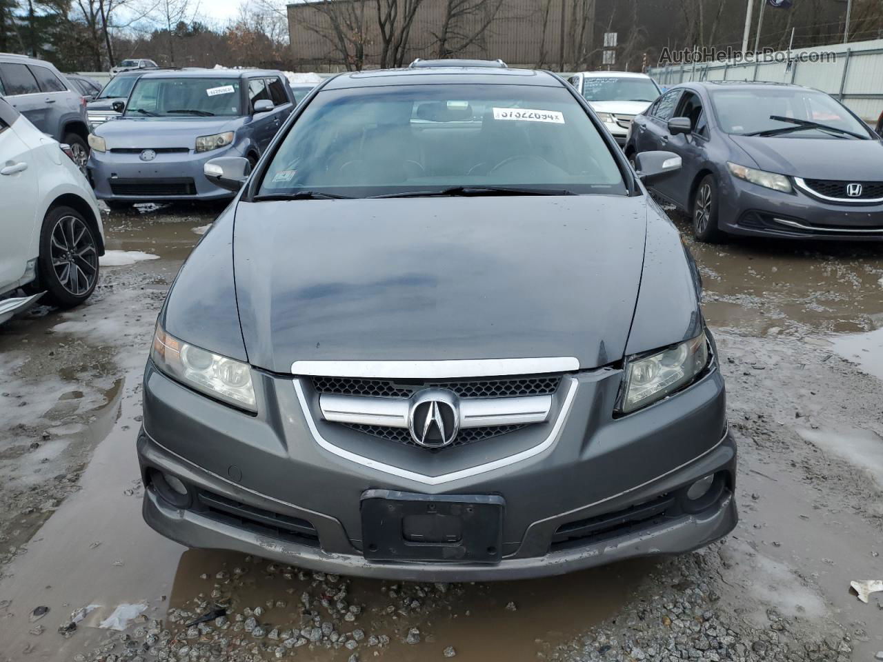 2008 Acura Tl  Gray vin: 19UUA66238A055821