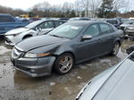 2008 Acura Tl  Gray vin: 19UUA66238A055821