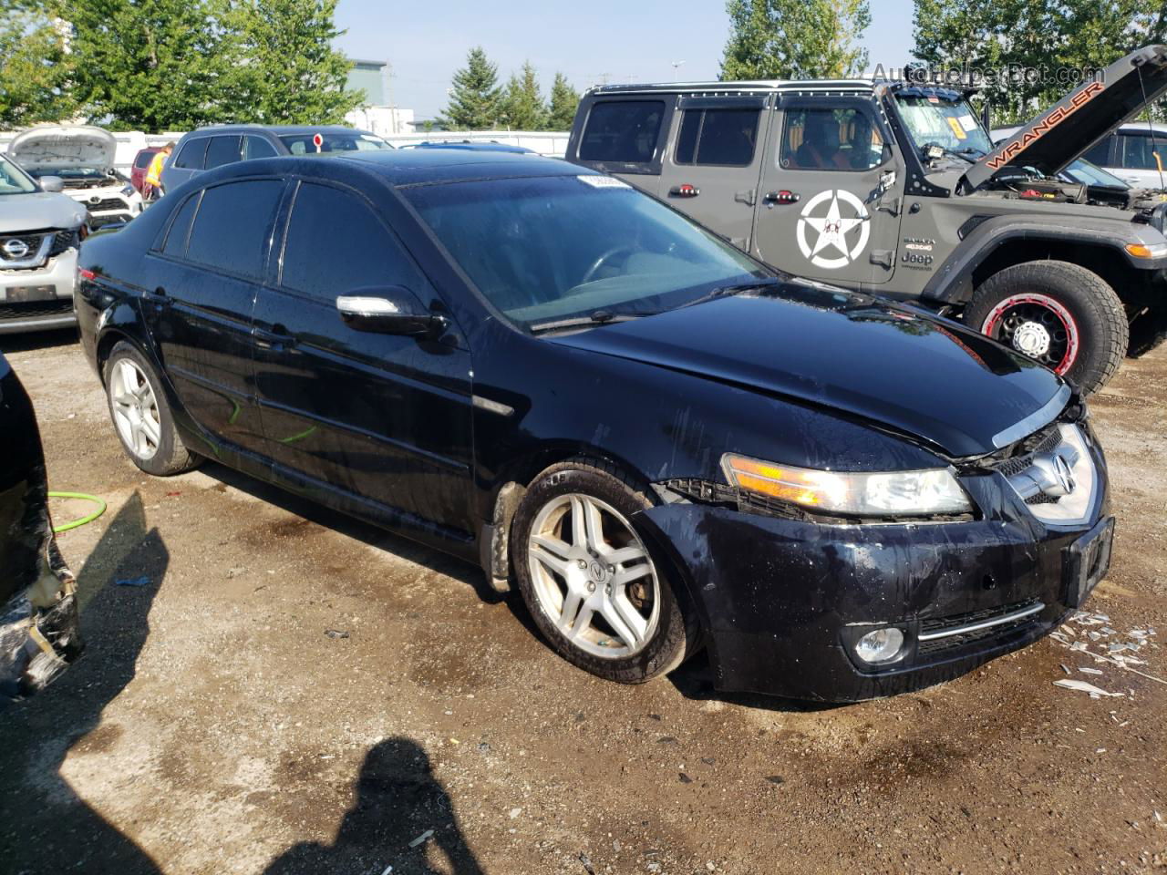 2008 Acura Tl  Black vin: 19UUA66238A802785