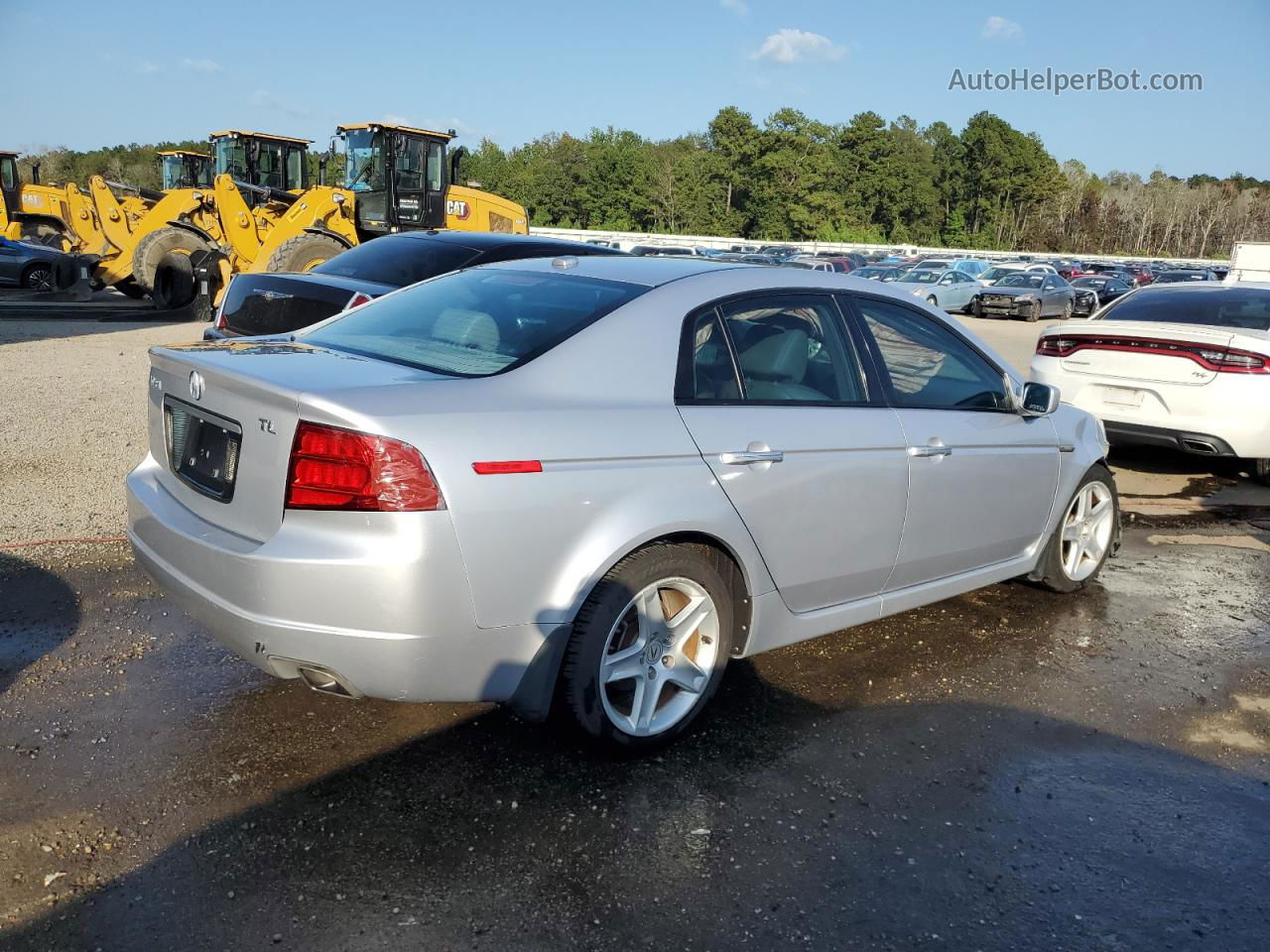 2005 Acura Tl  Серебряный vin: 19UUA66245A002833