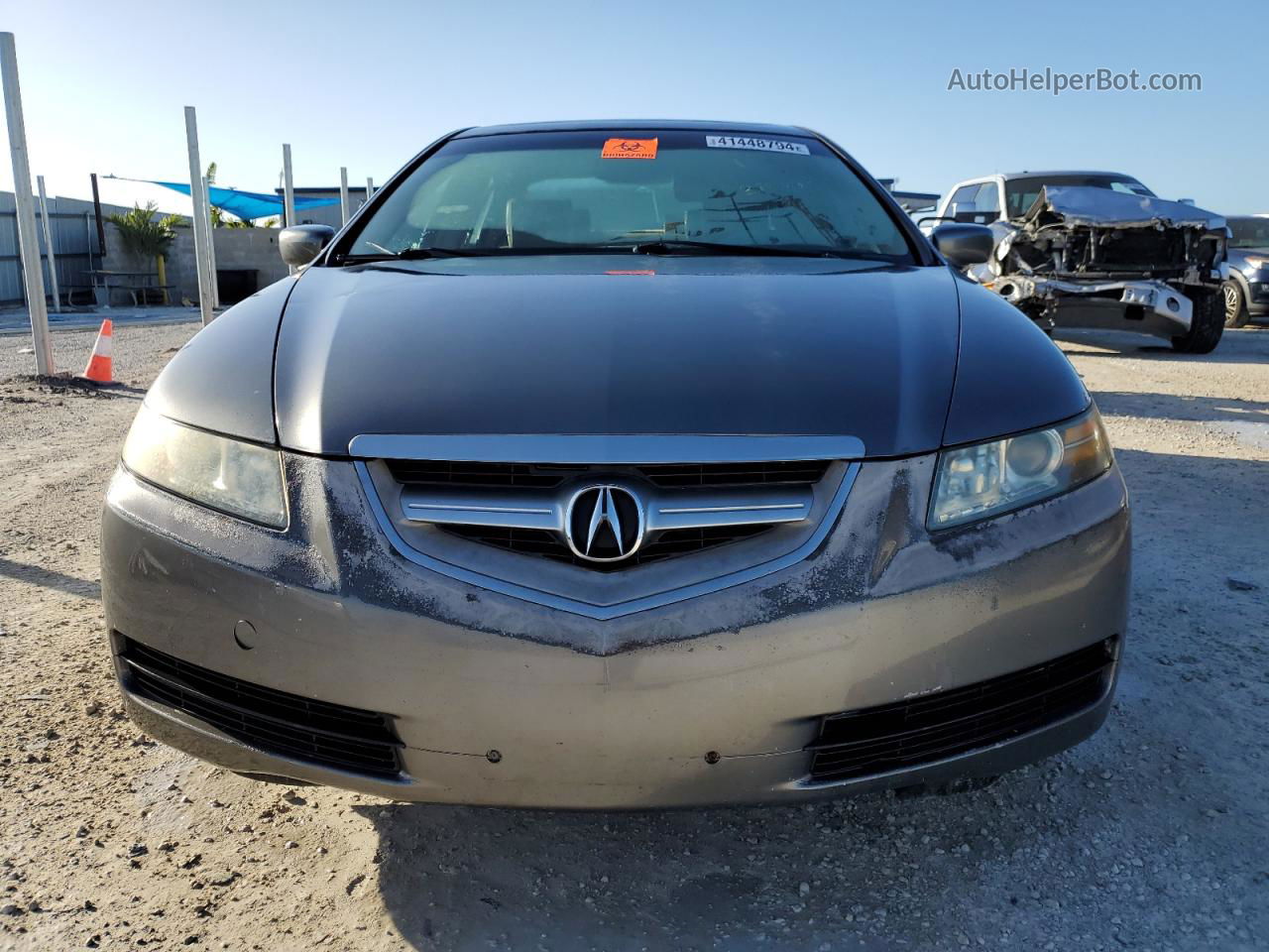 2005 Acura Tl  Gray vin: 19UUA66245A016389