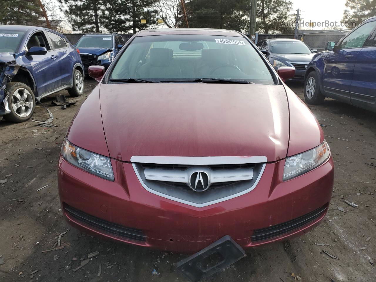 2005 Acura Tl  Темно-бордовый vin: 19UUA66245A016473