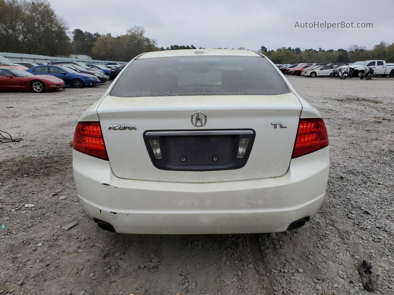 2005 Acura Tl  White vin: 19UUA66245A021267