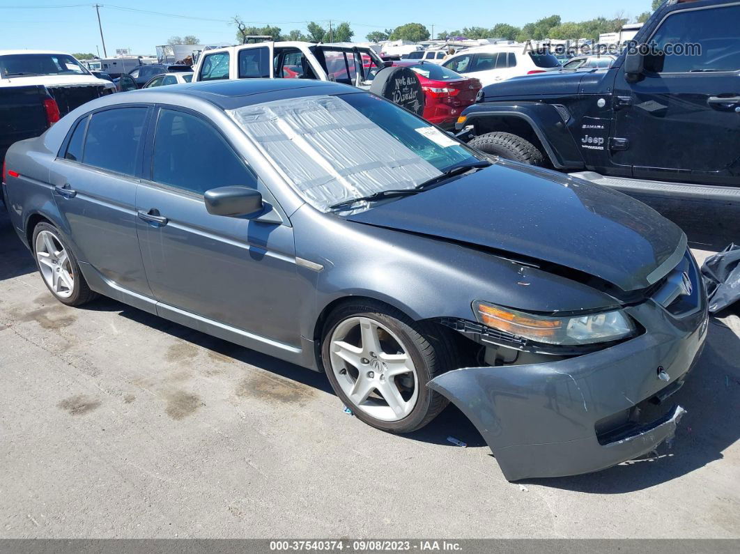 2005 Acura Tl Gray vin: 19UUA66245A035945