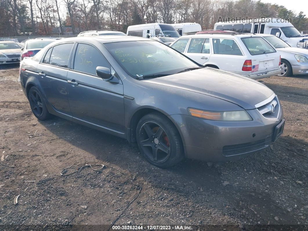 2005 Acura Tl Gray vin: 19UUA66245A041227