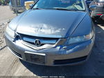 2005 Acura Tl   Gray vin: 19UUA66245A048419