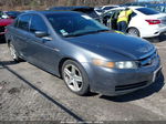 2005 Acura Tl   Gray vin: 19UUA66245A048419