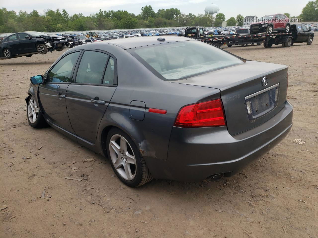 2005 Acura Tl  Gray vin: 19UUA66245A050042