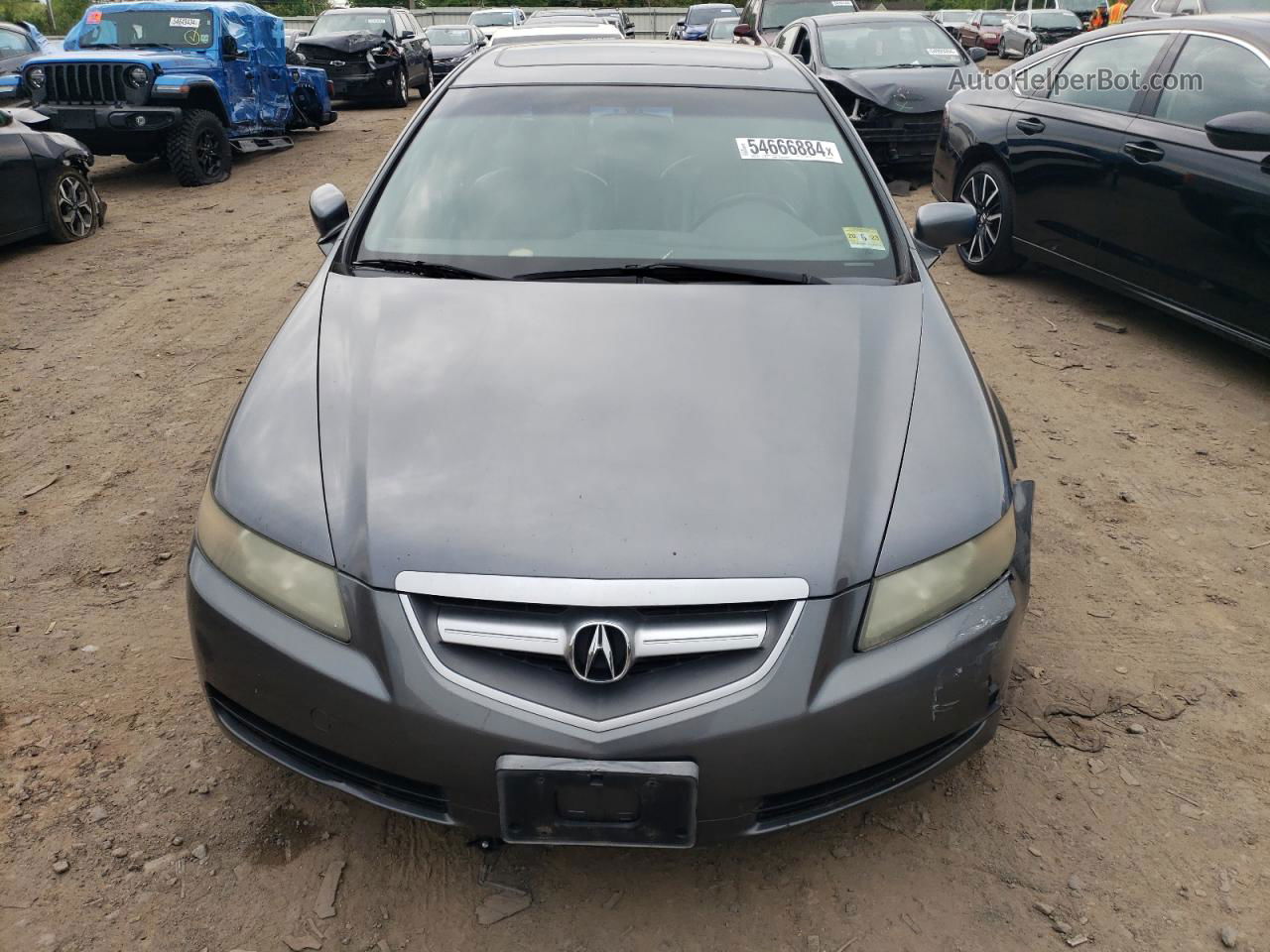 2005 Acura Tl  Gray vin: 19UUA66245A050042