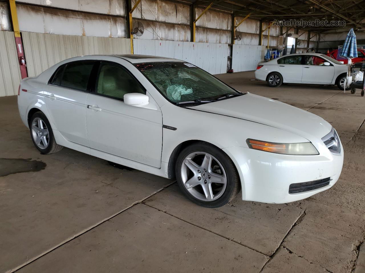 2005 Acura Tl  Белый vin: 19UUA66245A056004