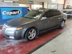 2005 Acura Tl  Серый vin: 19UUA66245A059016