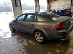 2005 Acura Tl  Серый vin: 19UUA66245A063082