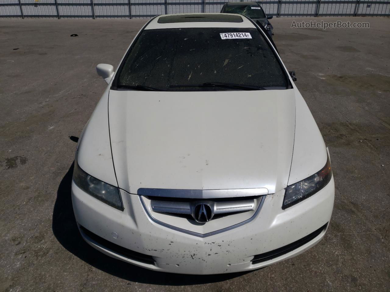 2005 Acura Tl  White vin: 19UUA66245A064894