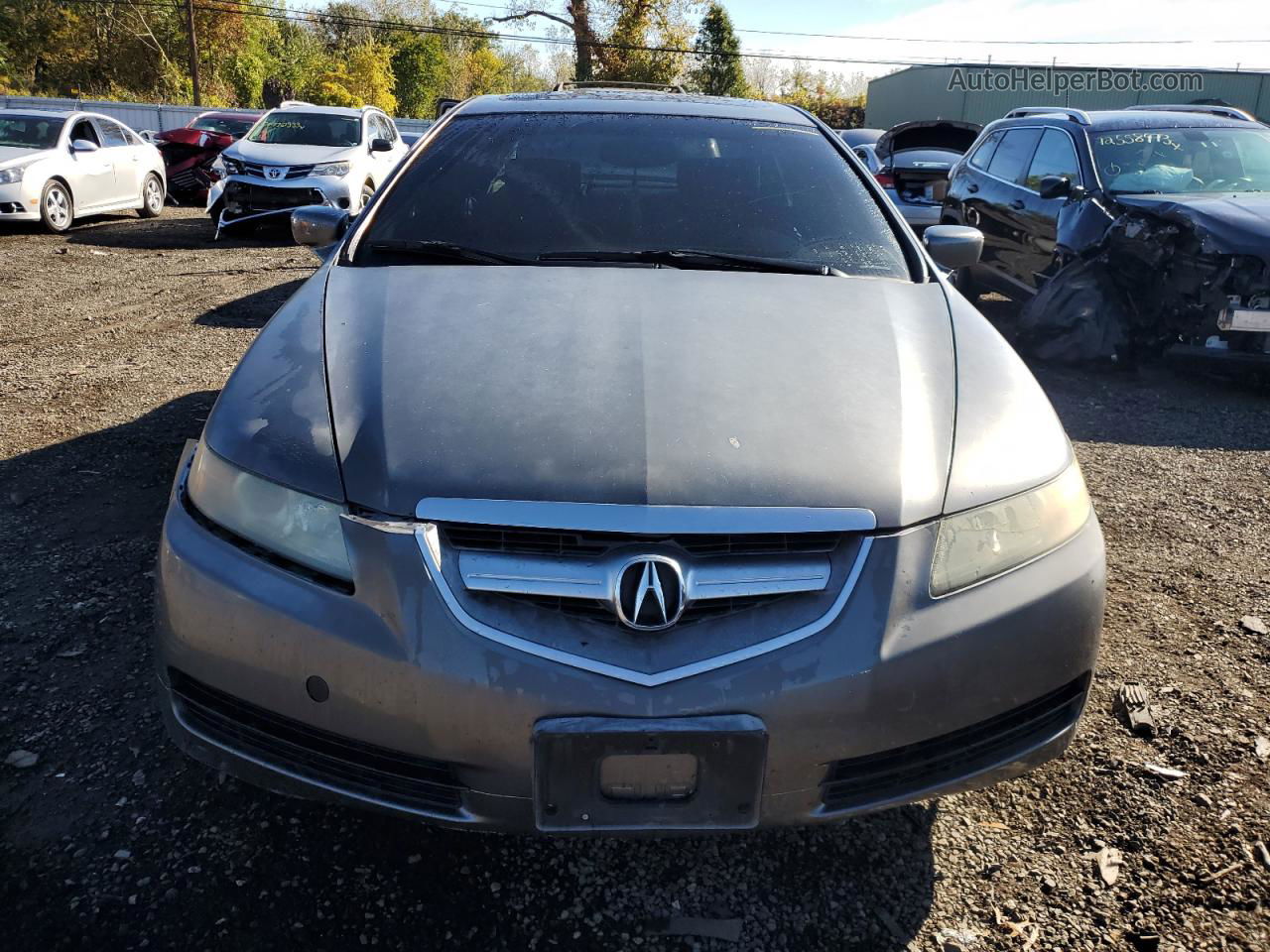 2005 Acura Tl  Gray vin: 19UUA66245A069108