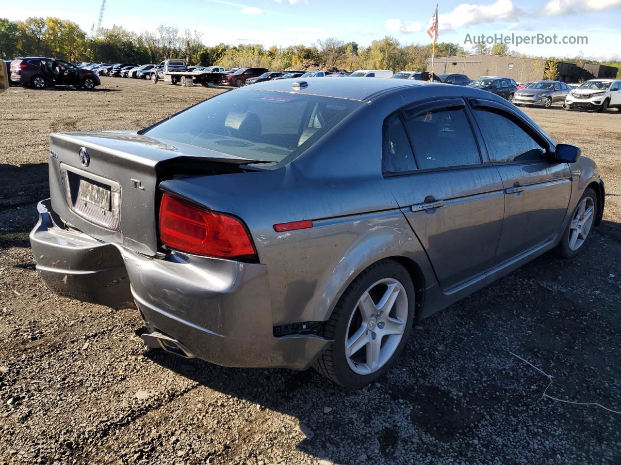 2005 Acura Tl  Gray vin: 19UUA66245A069108