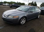 2005 Acura Tl  Серый vin: 19UUA66245A077712