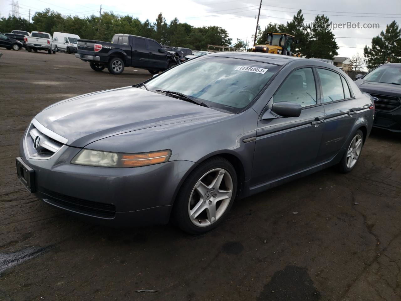 2005 Acura Tl  Gray vin: 19UUA66245A077712