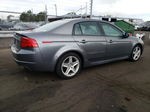 2005 Acura Tl  Gray vin: 19UUA66245A077712