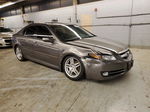 2008 Acura Tl  Tan vin: 19UUA66248A012718