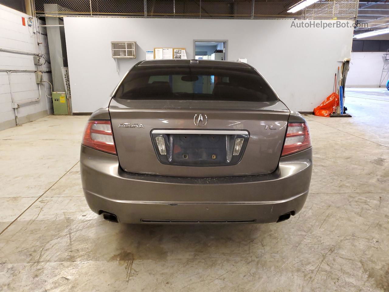 2008 Acura Tl  Tan vin: 19UUA66248A012718