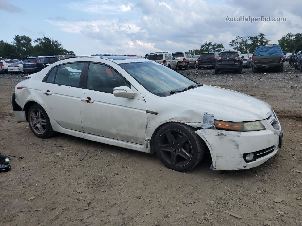 2008 Acura Tl  White vin: 19UUA66248A013609