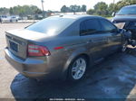 2008 Acura Tl   Серый vin: 19UUA66248A017725