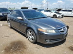 2008 Acura Tl  Gray vin: 19UUA66248A018762