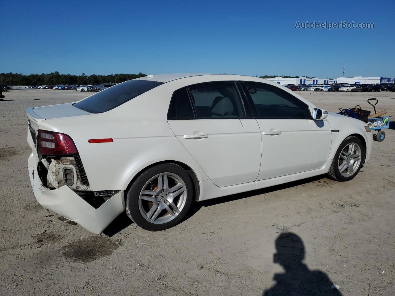 2008 Acura Tl  White vin: 19UUA66248A019197