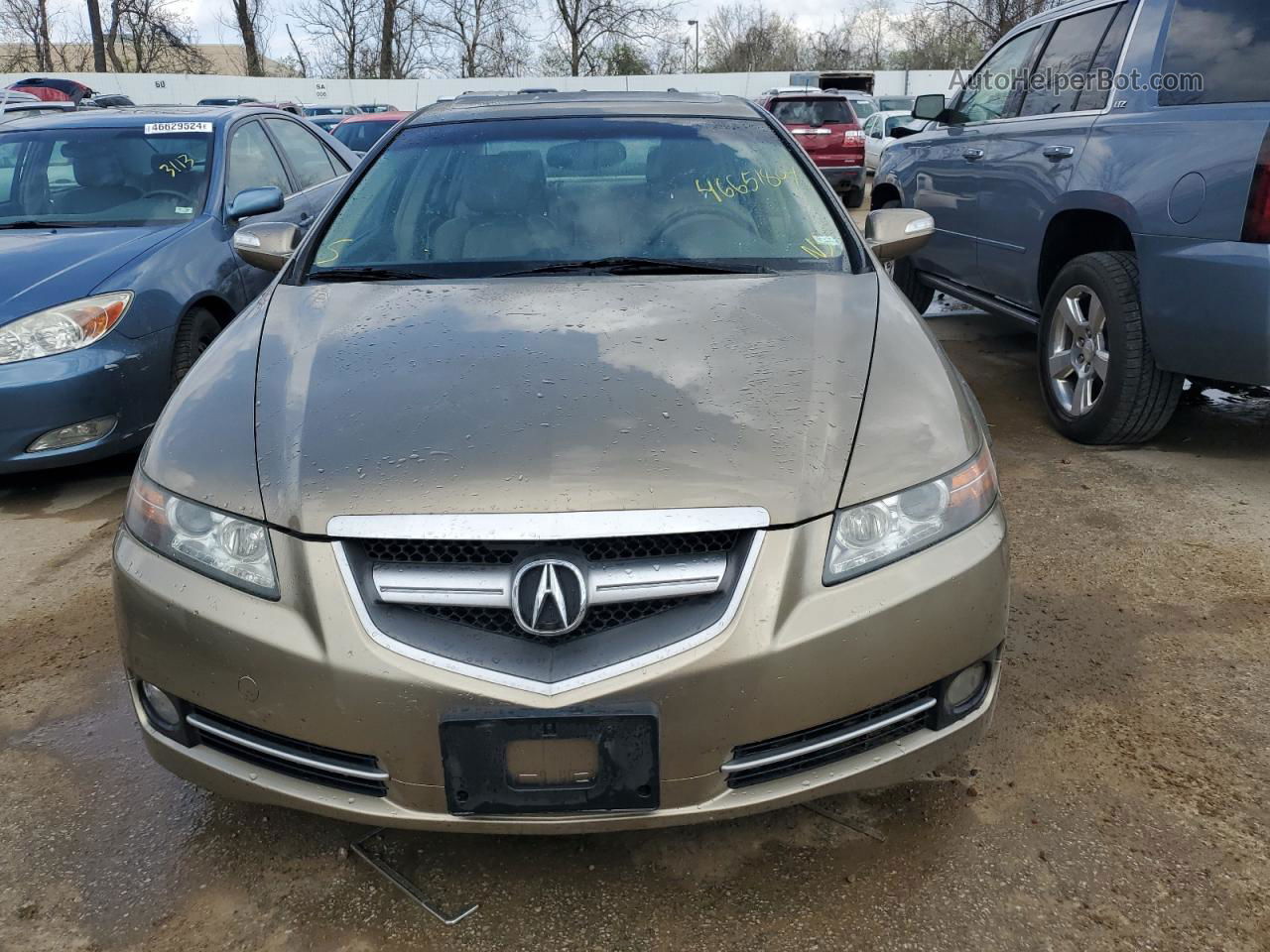 2008 Acura Tl  Beige vin: 19UUA66248A028983