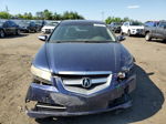 2008 Acura Tl  Blue vin: 19UUA66248A039580