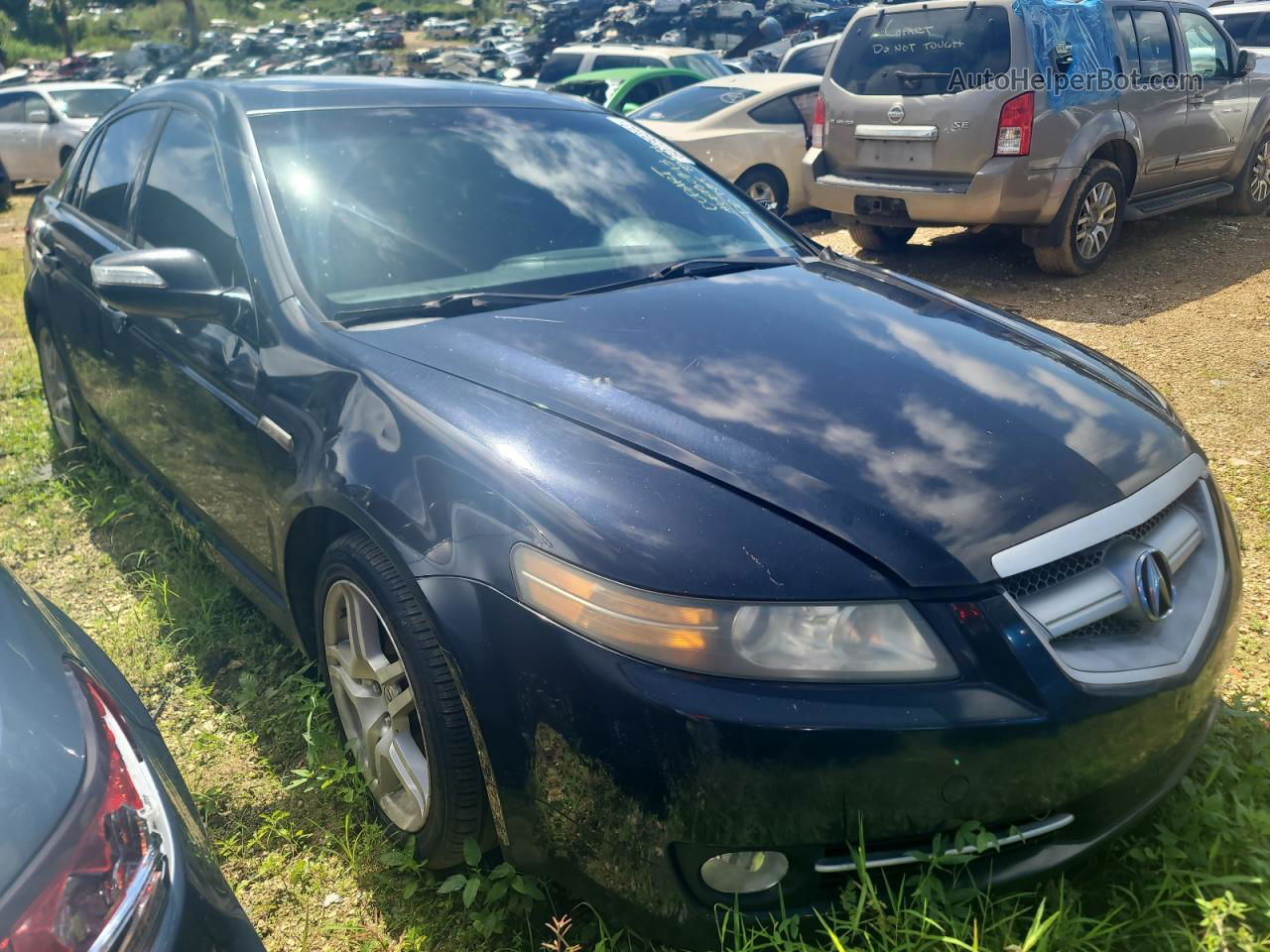 2008 Acura Tl  Black vin: 19UUA66248A039692