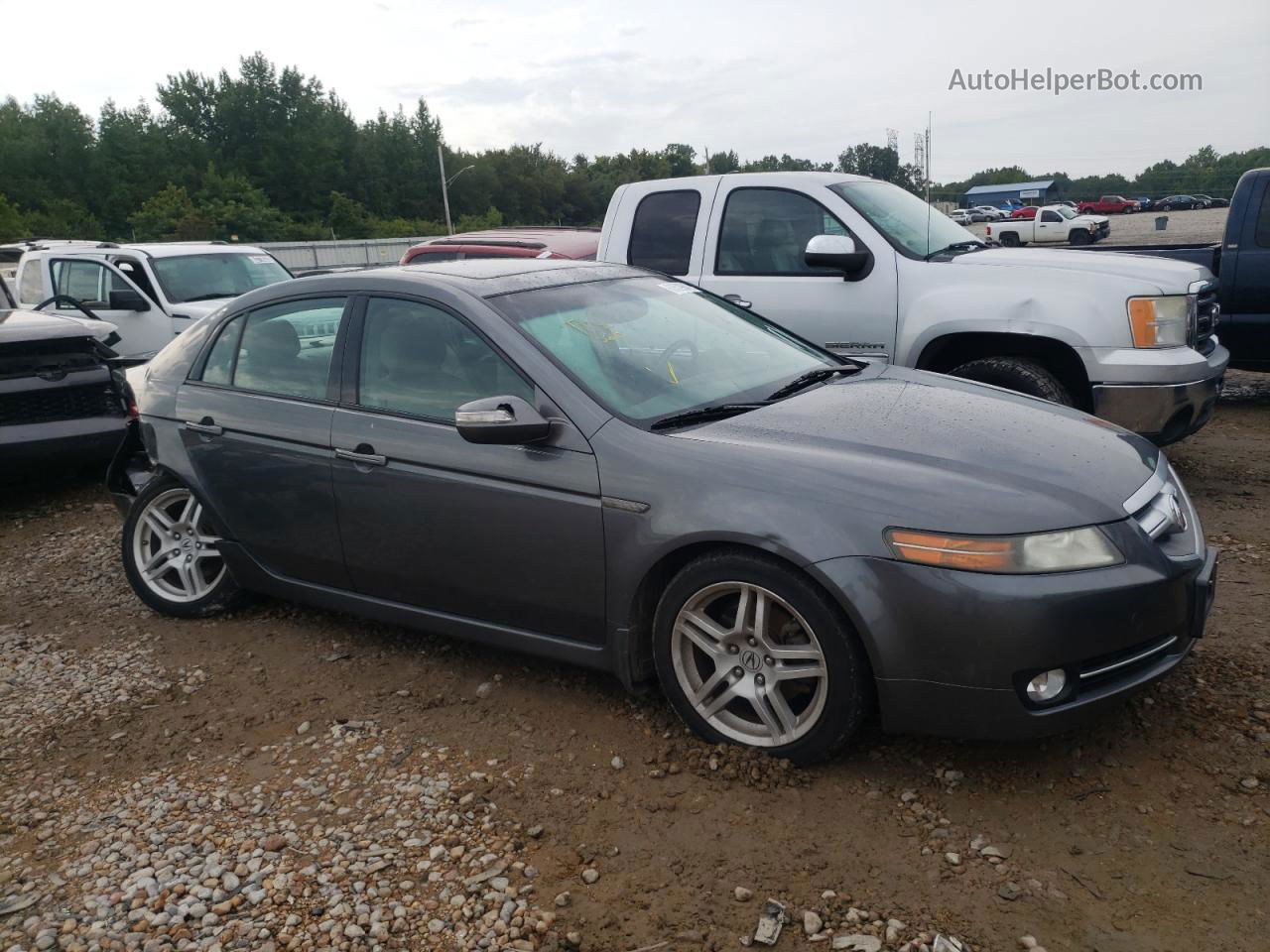 2008 Acura Tl  Gray vin: 19UUA66248A043189