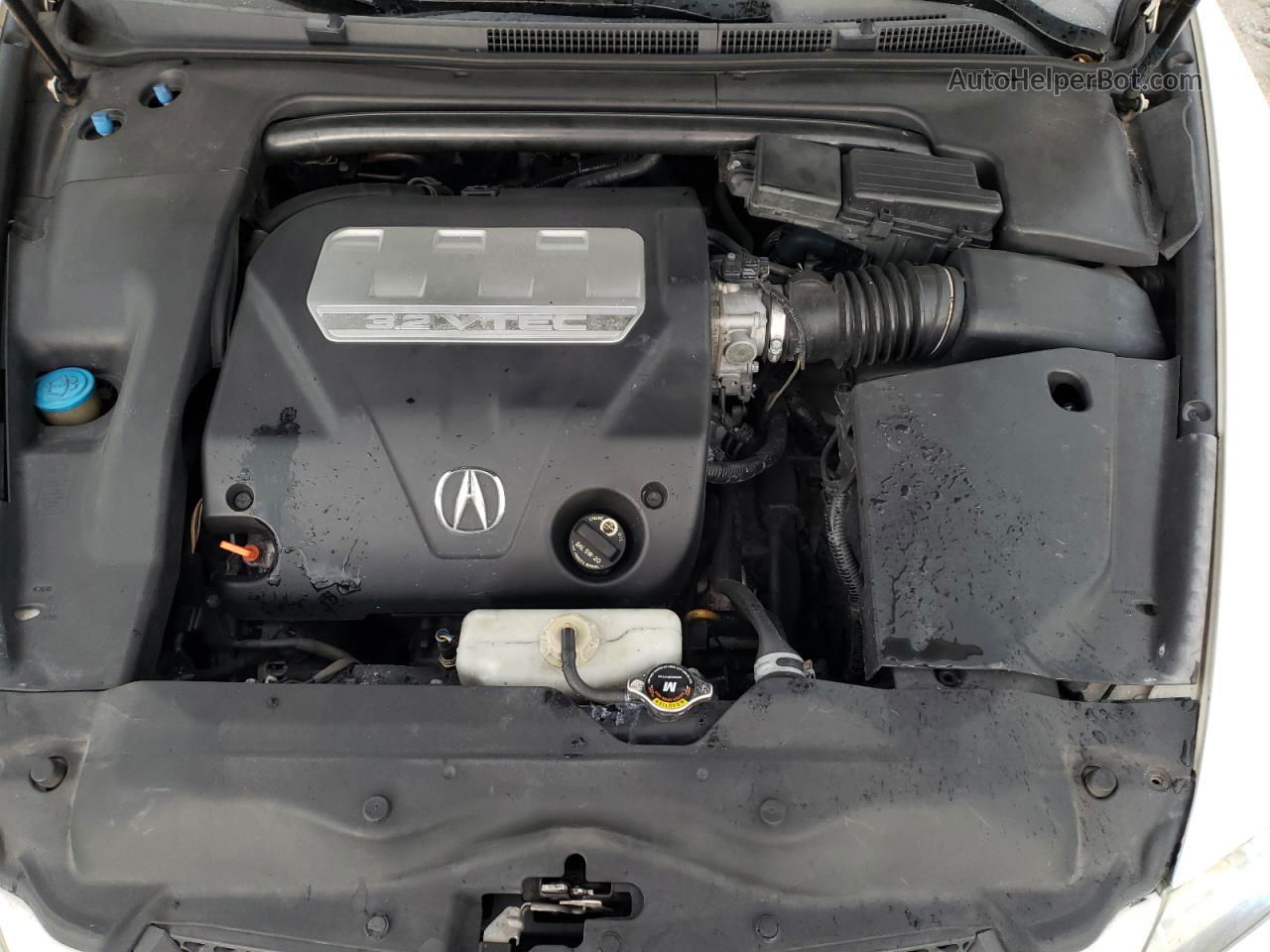 2008 Acura Tl  Белый vin: 19UUA66248A047534