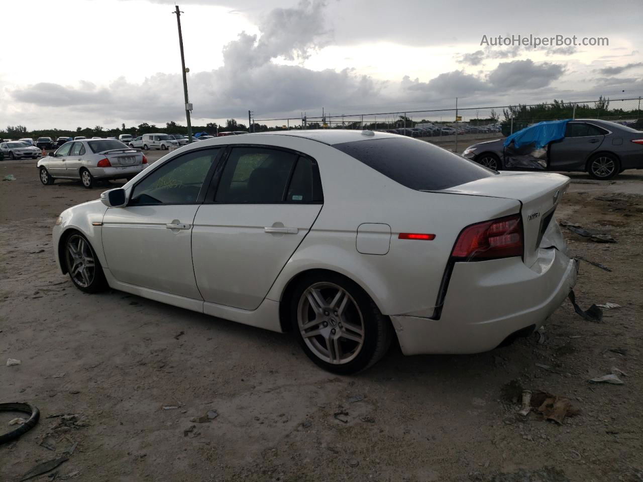 2008 Acura Tl  White vin: 19UUA66248A047534