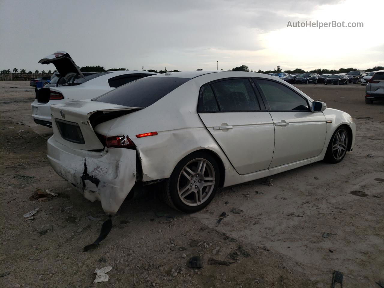 2008 Acura Tl  White vin: 19UUA66248A047534